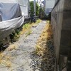 自称一番弟子の柳真Aでーす！
