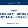 電力エネルギーの供給源：自然エネルギーか原子力か？