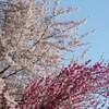 空に逆さまの虹が？ 