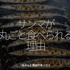 2513食目「サンマが丸ごと食べられる理由」ちゃんと理由があった！