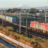 冬晴れの貨物～秩父鉄道デキ撮影