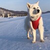 元号が決まったよ