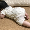 愛娘（生後6ヵ月）が夢中！育児に役立つ、大人しく待てるグッズ3選