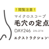 【閲覧注意】毛穴の定点観測⑦