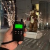 【運用記録】東京駅丸の内口_2025/01/10（19時台）