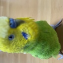 火星の向こう側
