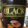 北海道乳業:ブラックチョコプリン