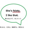 【使えるドラマ英語】She's feisty.~気骨のある子だ