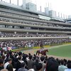 東京競馬場