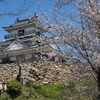 【おでかけ】浜松城公園でお花見 (2025/03/30)