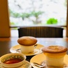 【京都🌸桜が見えるとっておきのオススメカフェ４選☕️】