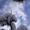 雪のやみ間に