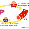 悪玉コレステロールは、本当に【悪】なのか？？(-_-)