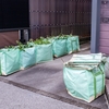 雑草の草引きをしてもらいました  2024.7.2