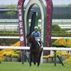 【一口馬主／ベイステート】いざ、南国へ！