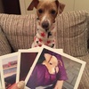 マイブックライフで愛犬写真をフォトツリーにしたよ