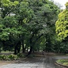 5月9日（木）Mホーム（ガレージ換気扇）、「虎に翼」法廷劇、公園内完結コース、