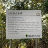 【福岡県福津市】小竹石穴古墳