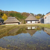 高柳に遊ぶ　