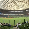 2024 最後のベルーナドーム（ソフトバンク対ライオンズ）