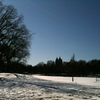 Central Park Cycling in Winter