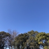 注文住宅、太陽光発電をどうしようかな