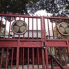 通に好かれる権現よ