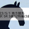 2023/5/1 地方競馬 金沢競馬 5R 3歳B2特編(3歳2)
