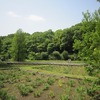 神代植物公園_水生（東京都調布市）