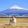 今日ノ富士山