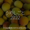 1690食目「うめしごと2022」たくさんの梅を頂いたのでコレはやるしかない！