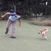 子犬連れのキャンプ♪