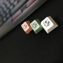 /var/log/pabotesu.log