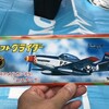 二日続けての水元公園とツバメのソフトグライダー