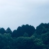 今朝の景色