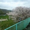 出入国管理制度の改善と難民対策の市民団体に徘徊する隠れユダヤ人人脈、済州島人脈