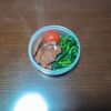 今週のミニタッパー弁当と、仕事でいっぱいいっぱい。