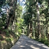 【自転車で日本最北端を目指す旅】埼玉から宗谷岬へ｜6日目 石巻〜平泉〜盛岡