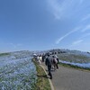 歩ける幸せ～ネモフィラの海に包まれて❤️母の笑顔と旅ぐるまKA6
