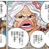 【ワンピース】ロックス海賊団のグロリオーサ=ニョン婆？