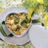 shodai bio nature ミモザのペタル