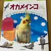 オカメインコの本