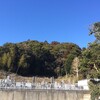山を見に行った
