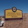 最後は一面のオレンジ　Antelope Valley California Poppy Reserve　～ カリフォルニアのお花見　最終回 ～