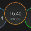 12/21(月)～27(日)週報