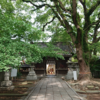 鳥飼八幡宮に参拝