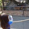 小さいけどステキなベアマウンテン動物園