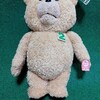 TED２が来院しました。
