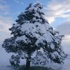 雪景色①❄まるで雲海のようですね@田園サロンビアンカ