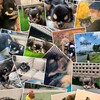 お祝い事への考え方